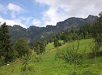 Gasthof Woell Alpbach Exterior foto