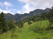 Gasthof Woell Alpbach Exterior foto